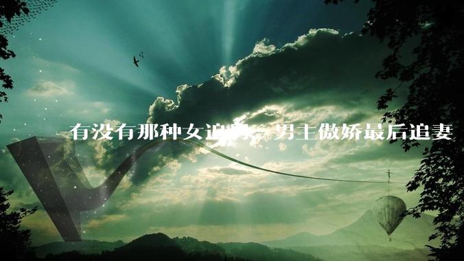 有没有那种女追男，男主傲娇最后追妻「火葬场」的言情***推荐？